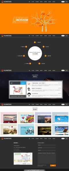 網站開發(fā)網絡科技公司