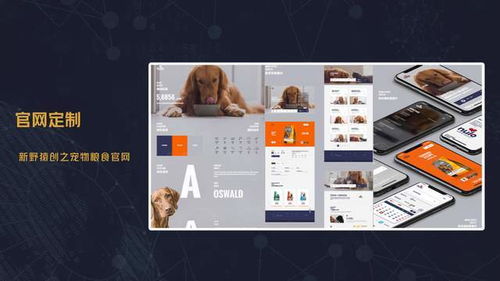 深圳網(wǎng)站建設(shè) 深圳軟件開發(fā) 深圳app定制 企業(yè)官網(wǎng)建設(shè) 品牌推廣